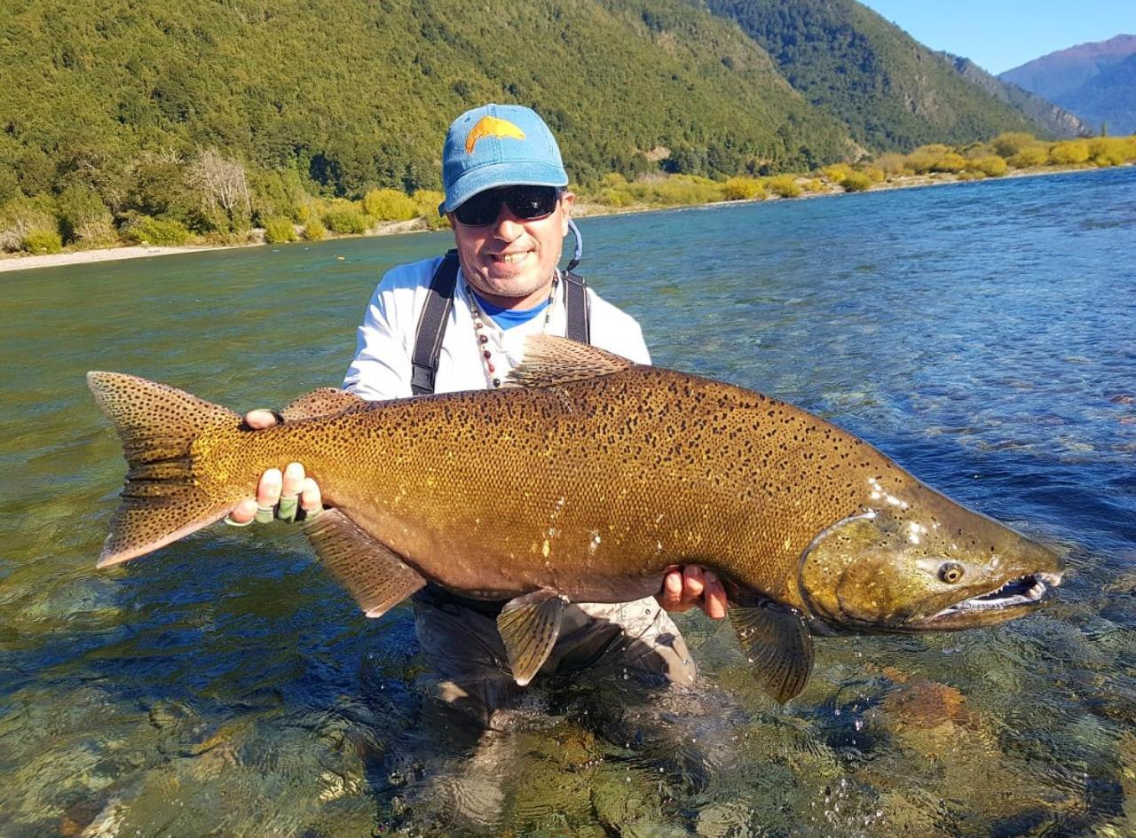 Cabanas Nutrias Patagonicas Puelo River Exterior foto
